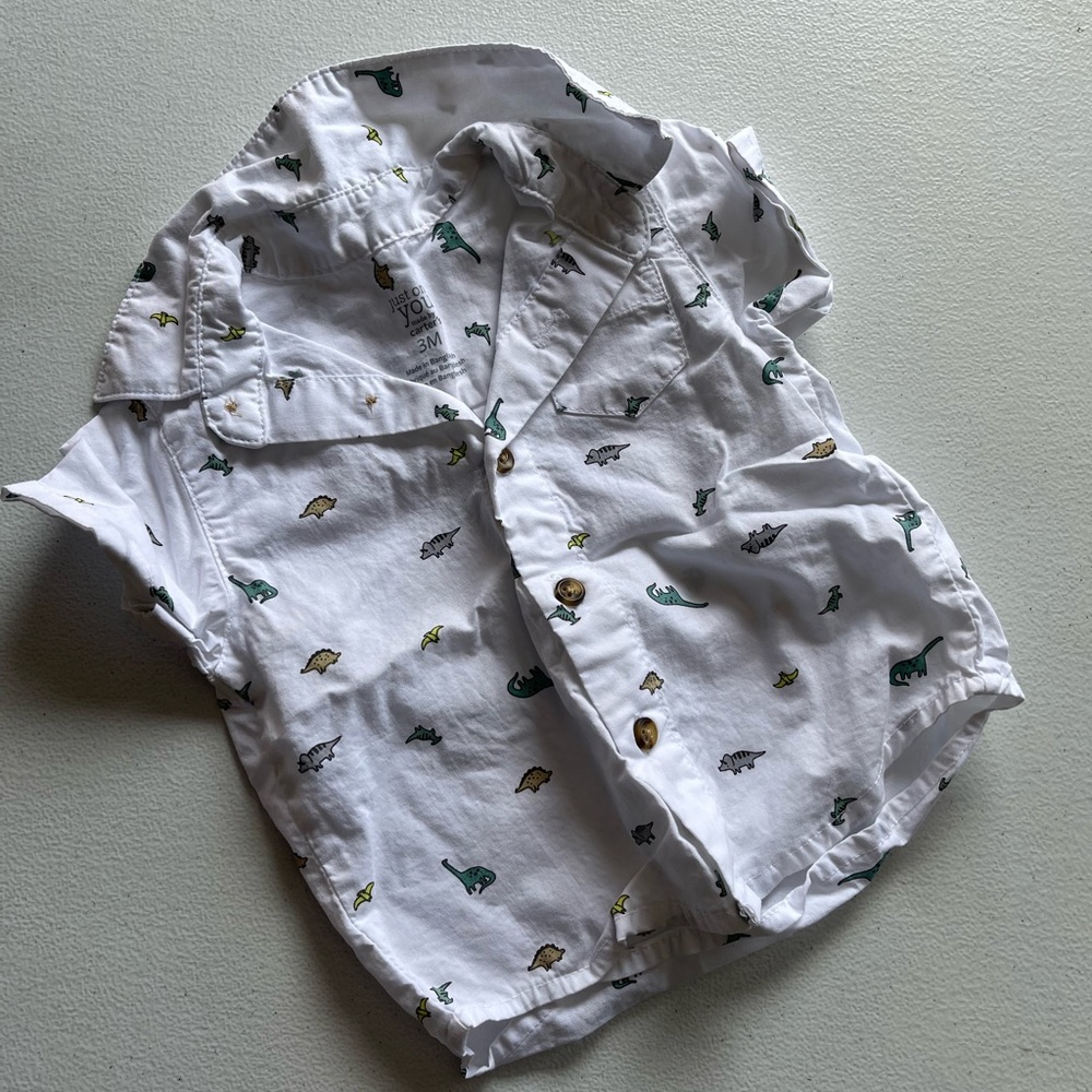 Dinosaur shirt